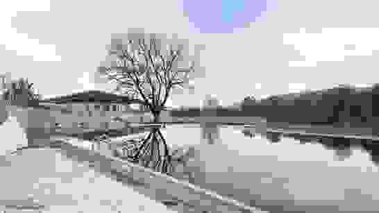 Referenzfoto 7 Referenzfoto 7